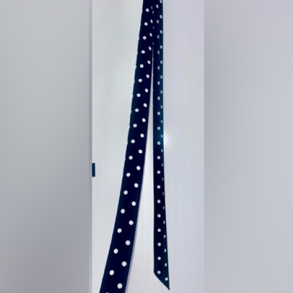 Like New Ralph Lauren Navy & White Polka Dot Sleeveless Crewneck Day Dress - Picture 5 of 11